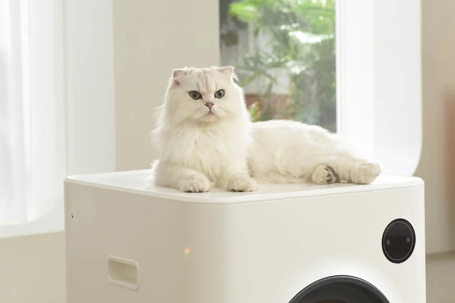kitty litter self cleaning box