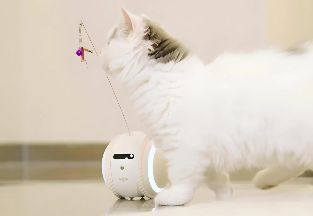 best indoor pet camera