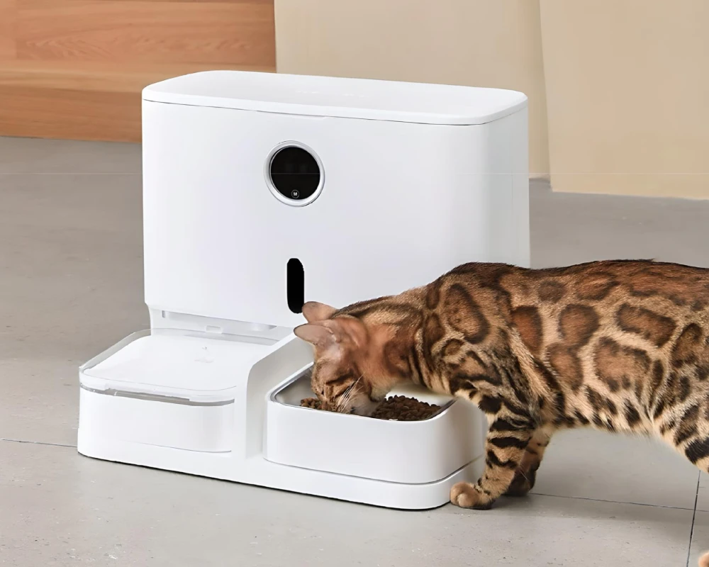 automatic pet feeder